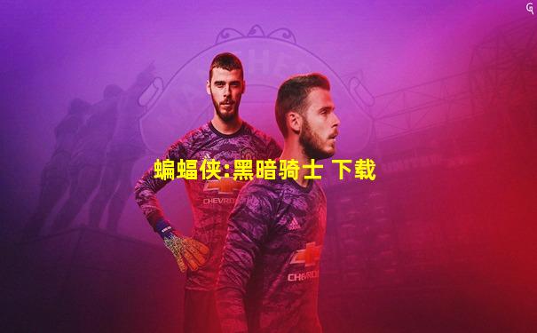 蝙蝠侠:黑暗骑士 下载